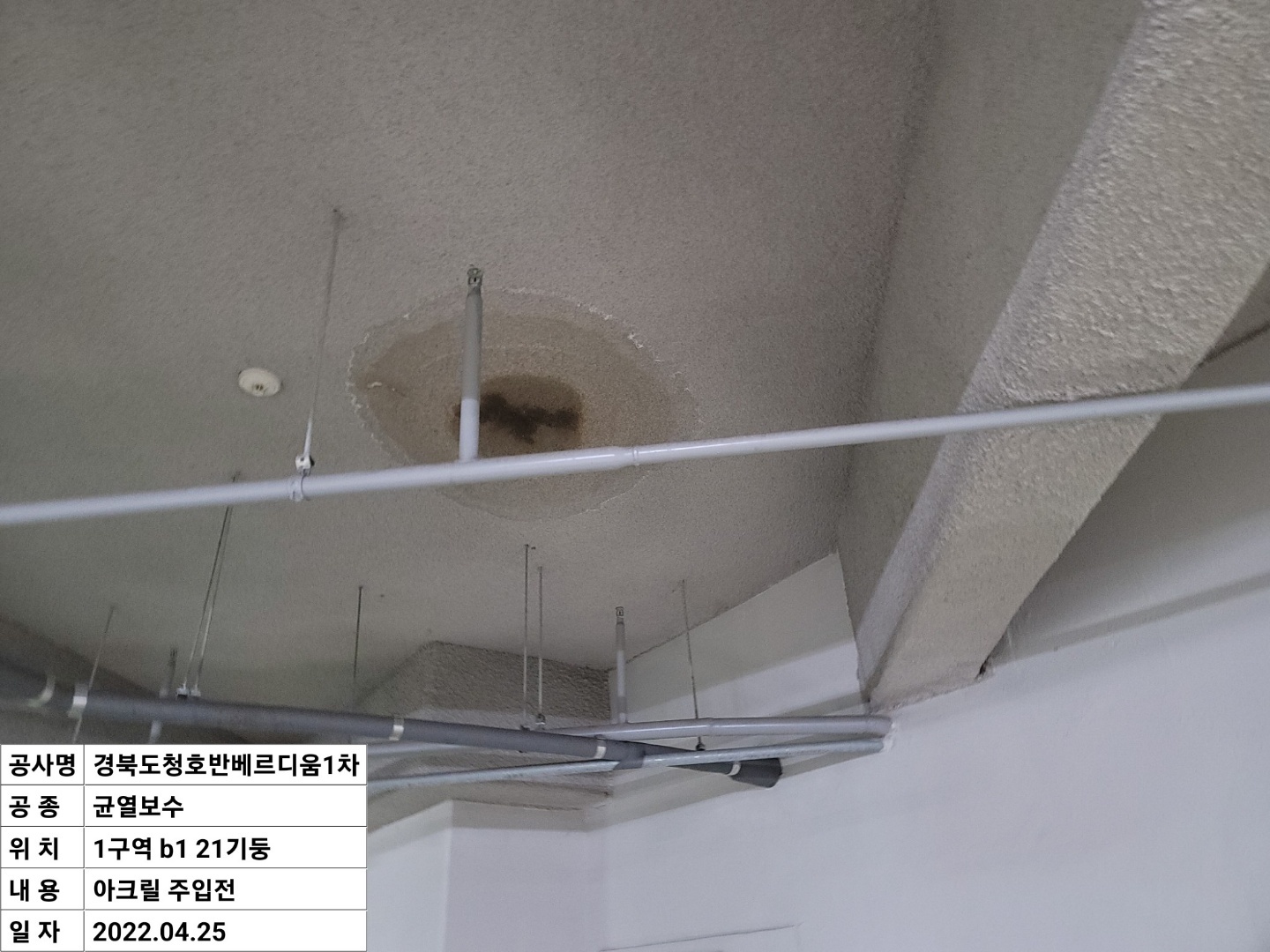 2000769928_0wCjg5ZP_c02bd0dea491198524309561021a1b75148ac97a.jpeg 이미지크게보기
