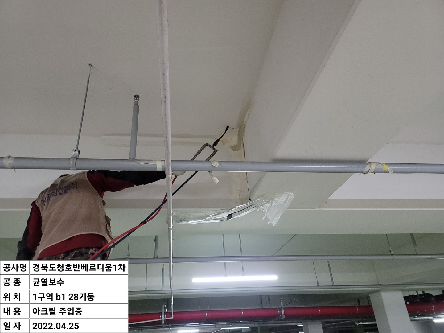 2000769928_HcSjoeO7_5636954772fd8117dcf9d318e5f2dfb854a3f2a8.jpeg 이미지크게보기