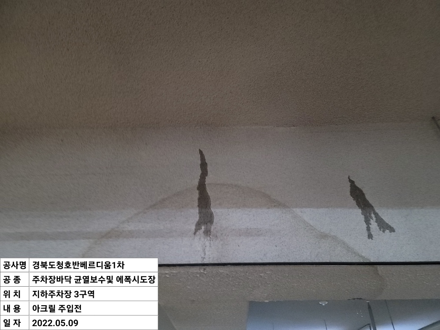 2000769928_PTWAaxZE_3c2daf2217f0309ba35cb423658c1b7e9cc410dd.jpeg 이미지크게보기