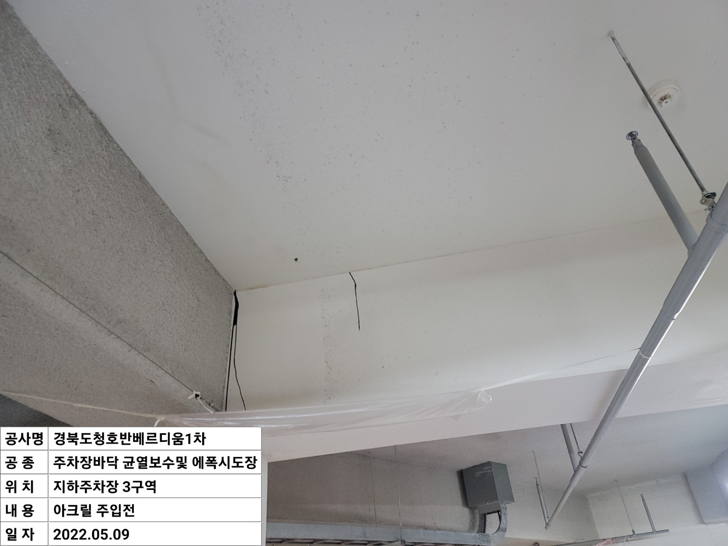 2000769928_xp8N3eaU_fd52c59e96833c2fda79efd12a467dbc801f10a4.jpeg 이미지크게보기