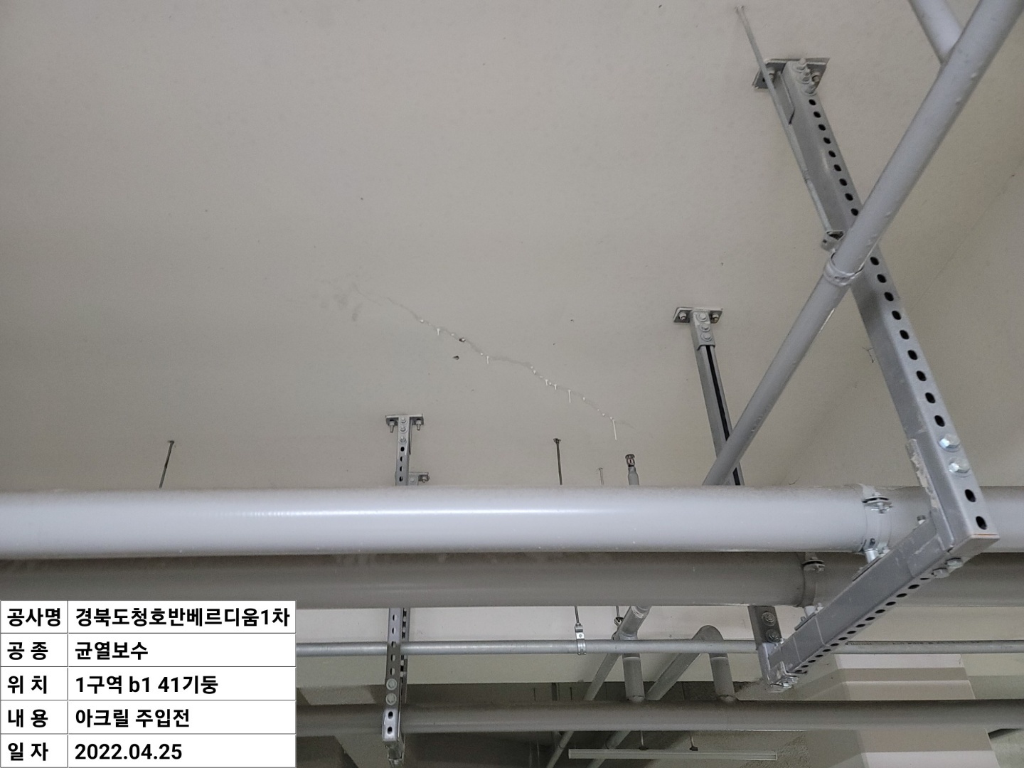 2000769928_z81joU0A_9c06acf21fa87e441860cbe27c4c9b787d888a19.jpeg 이미지크게보기
