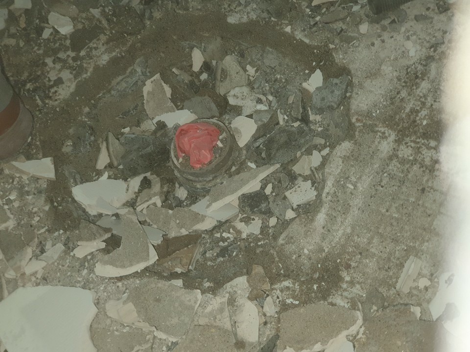 2049928719_yYBuJa7S_190f74b9e3d85ead84f5c023031a1a13a177c58e.jpg 이미지크게보기