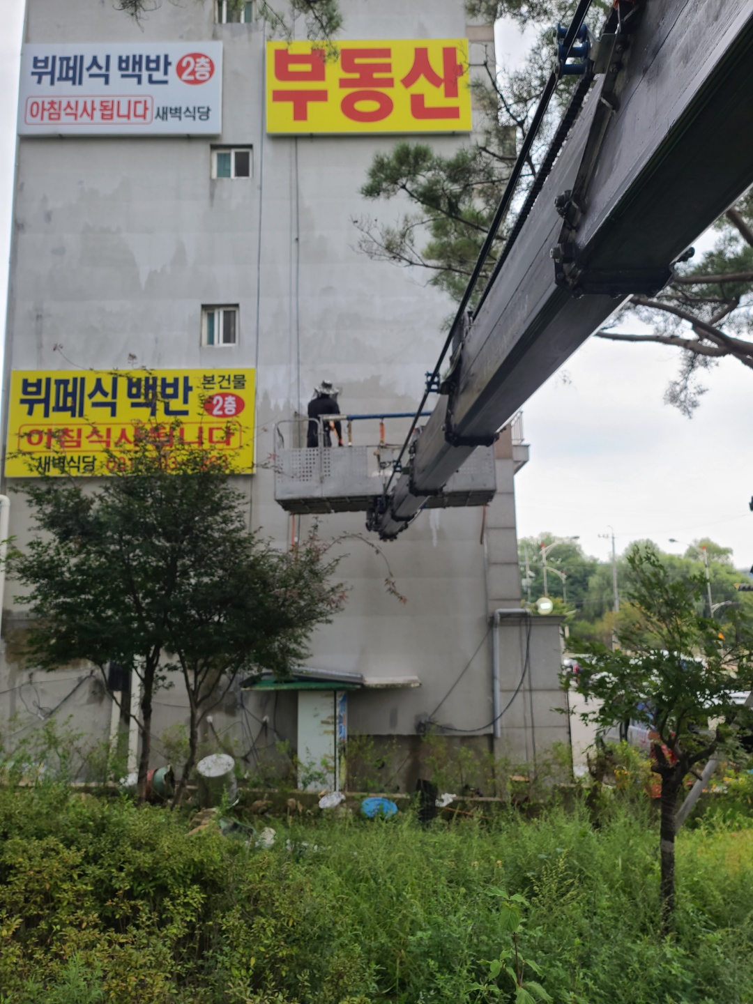 3529210135_G61Bg3p5_07a3e629b75ea73c9bec69ff9ead22f8afa5d7c4.jpg 이미지크게보기