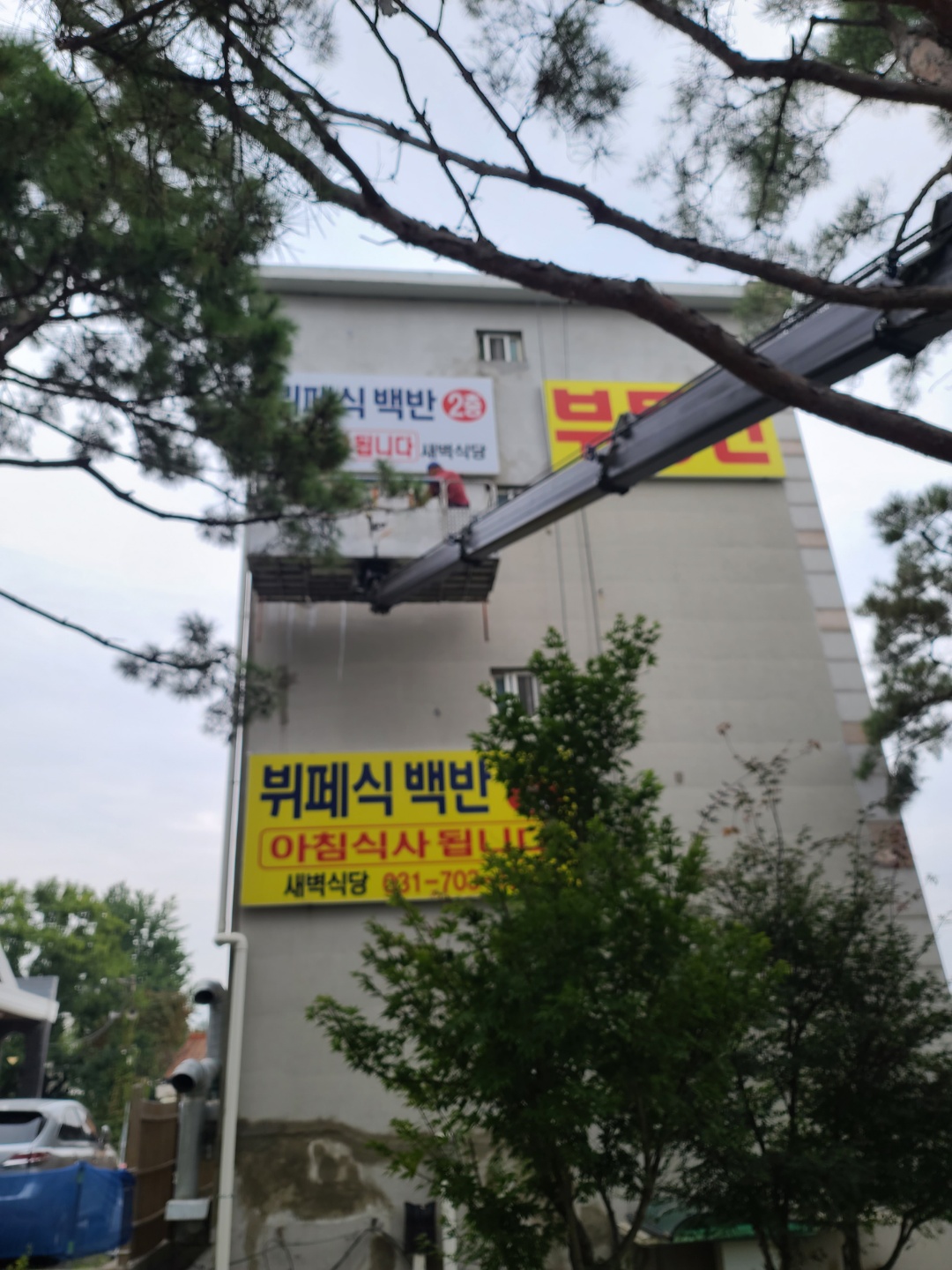 3529210135_hQfo1szl_ea258efc1f09ac87048970042616d501a3d26124.jpg 이미지크게보기