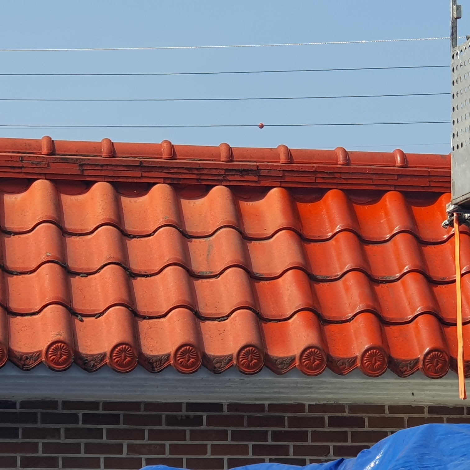 3529210135_jAWLOZyK_a89c6d70e07b59cc95f03b50c850de6773945688.jpg 이미지크게보기